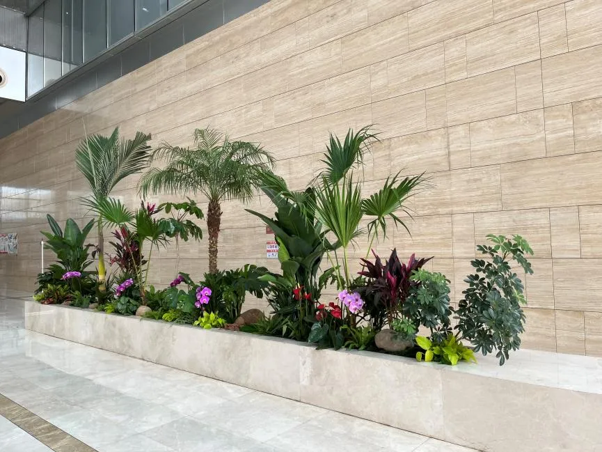 宁波奉化花卉出租专业 宁波奉化花卉出租专业