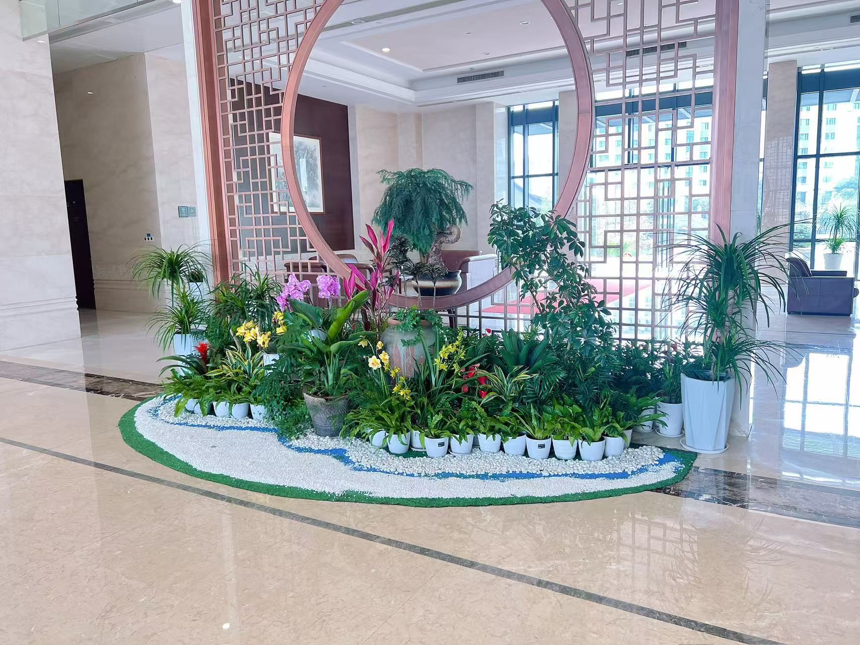 宁波北仑植物租摆服务好